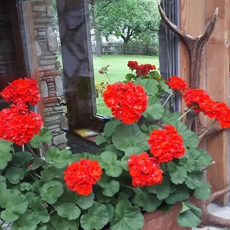 Apartament Schartner