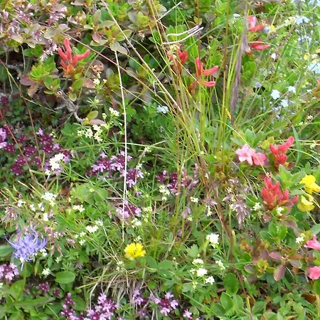 Appartamento Schartner Mauterndorf (Salzburg)