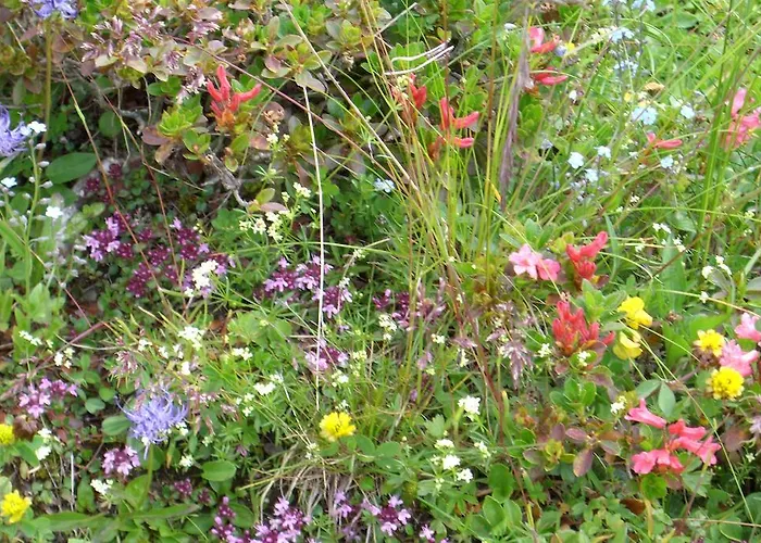 Lejlighed Schartner Mauterndorf (Salzburg)